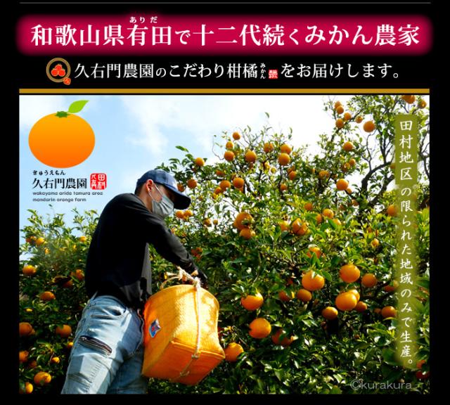 久右門みかん和歌山有田の田村地区のみで生産