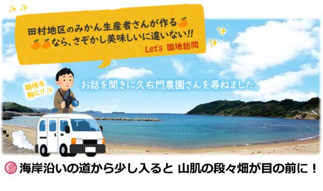 和歌山有田の久右門みかん農園を訪問
