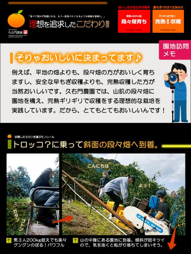 久右門農園ミカン理想を追求したこだわり栽培