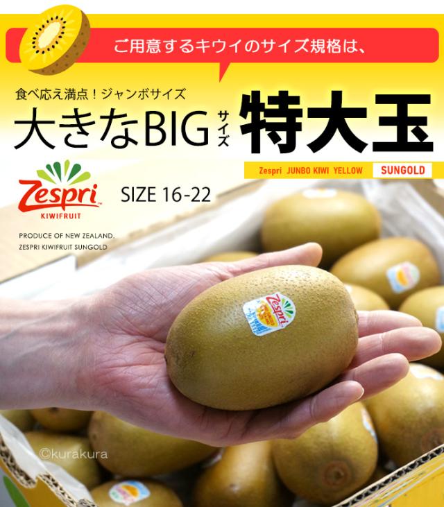 サンゴールドキウイ特大サイズイメージ