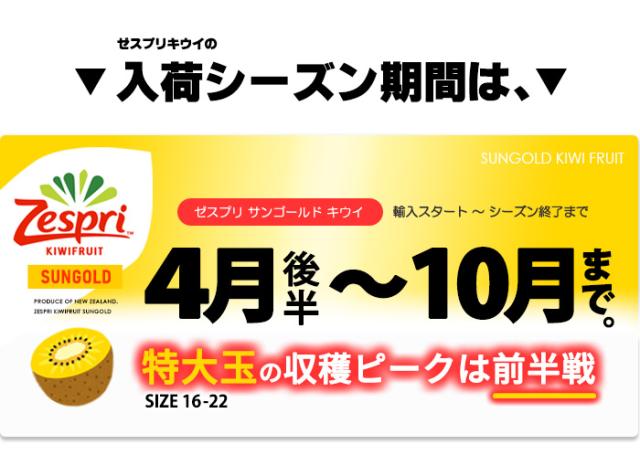 ゼスプリ・サンゴールドキウイ入荷シーズン4月後半から10月まで