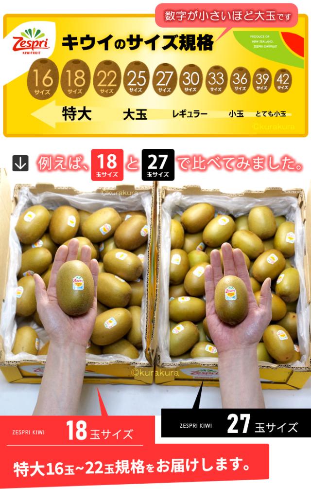 ゼスプリ・サンゴールドキウイ規格サイズ比較