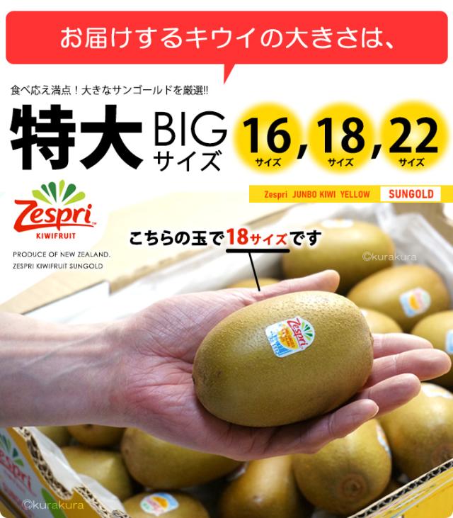 お届けするサンゴールドキウイの大きさ特大BIGサイズ