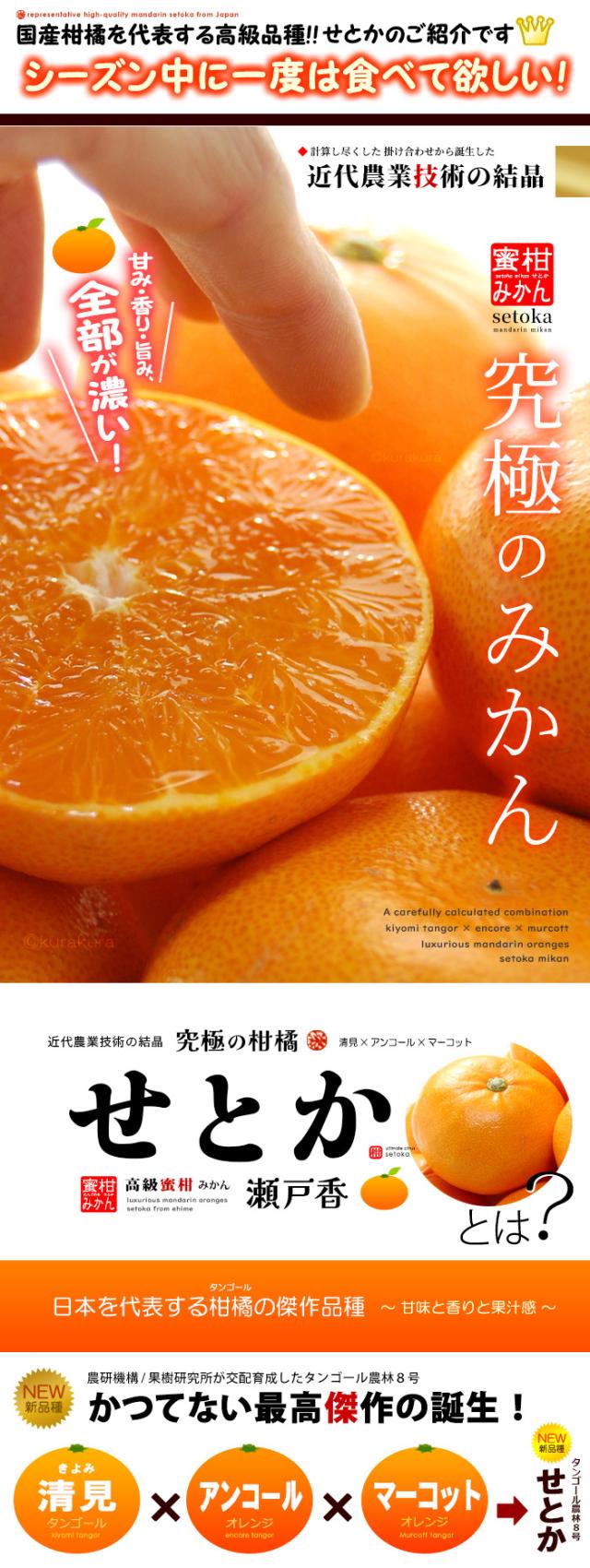 せとかとは？究極のみかん誕生