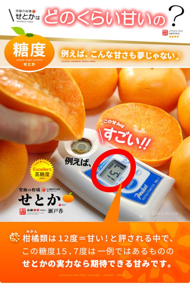 せとか糖度12度14度の強い甘み