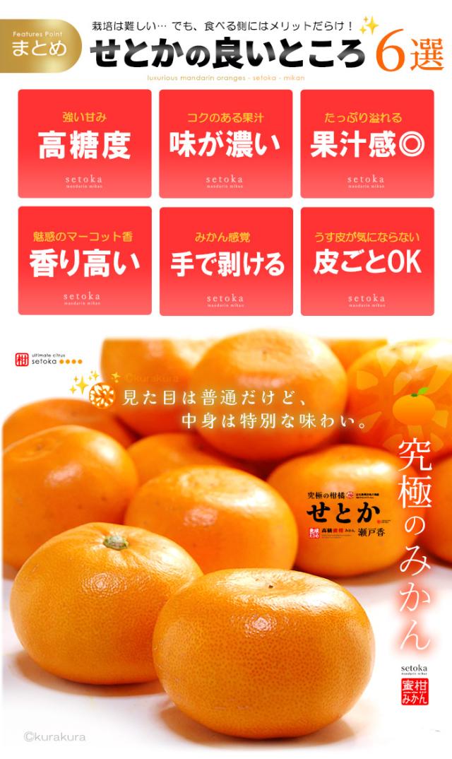 せとか良いところ６選まとめ