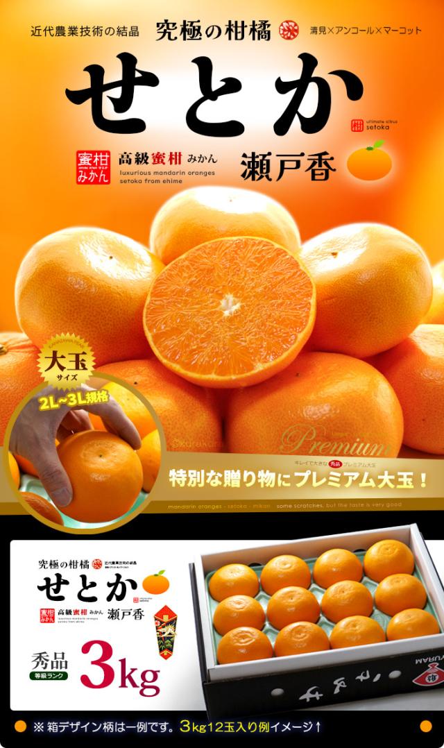 せとか化粧箱ギフト3kg販売/通販