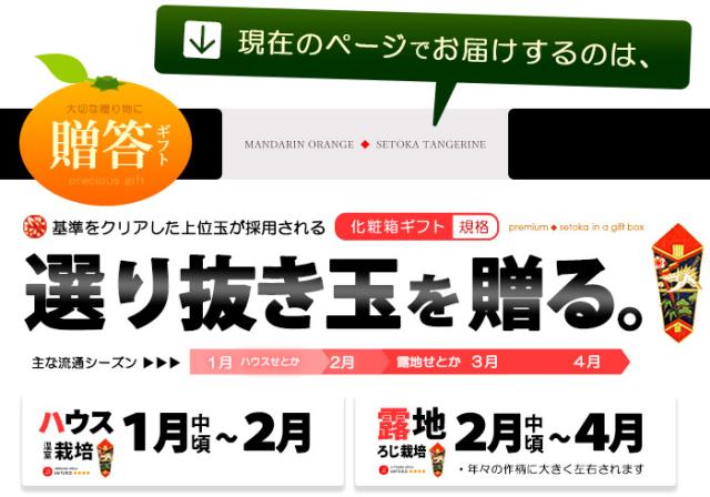 ハウスせとかギフト販売/出荷1月スタート詳細案内