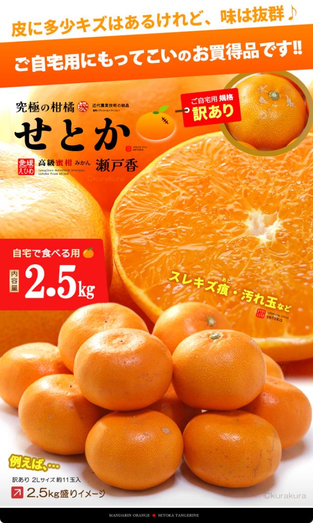 露地せとか訳あり2.5kg販売お届け姿イメージ