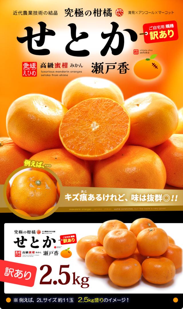 せとか訳あり2.5kg販売/通販