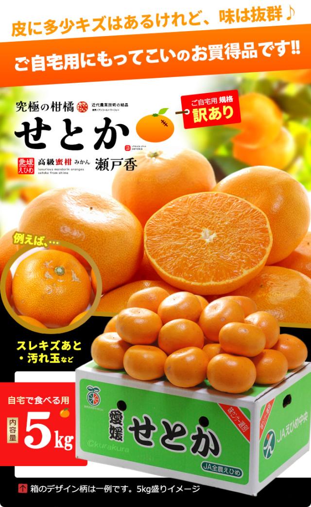 露地せとか訳あり5kg販売お届け姿イメージ