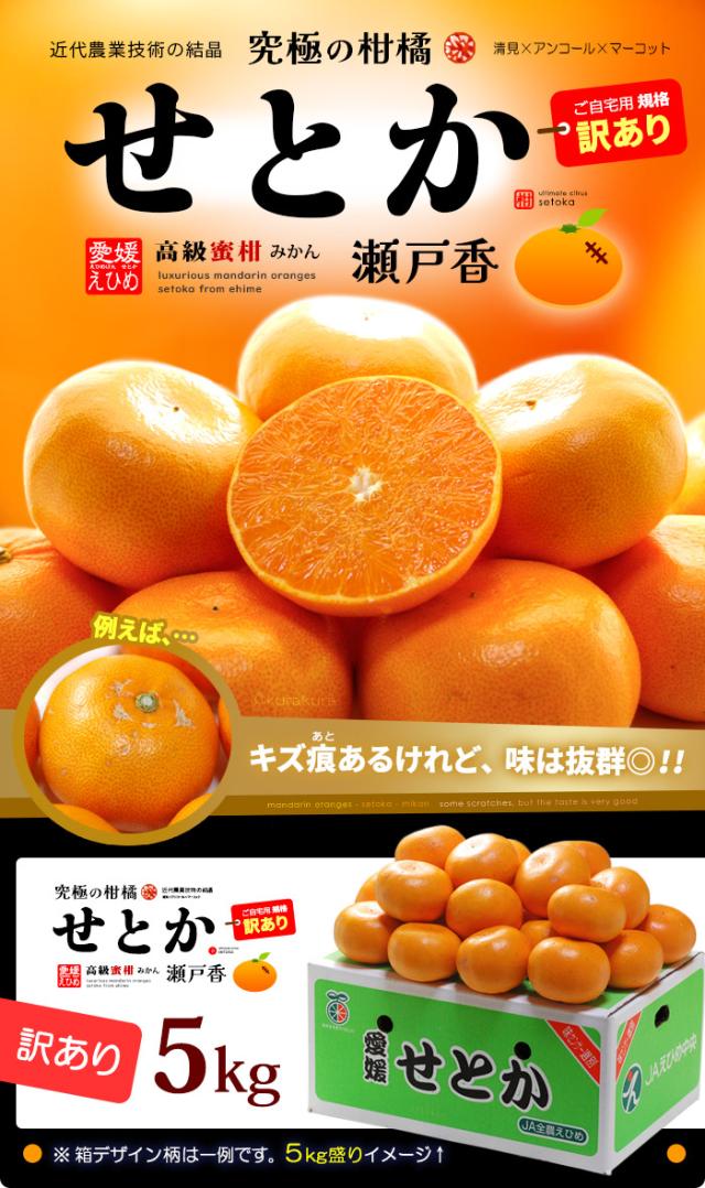 せとか訳あり5kg販売/通販