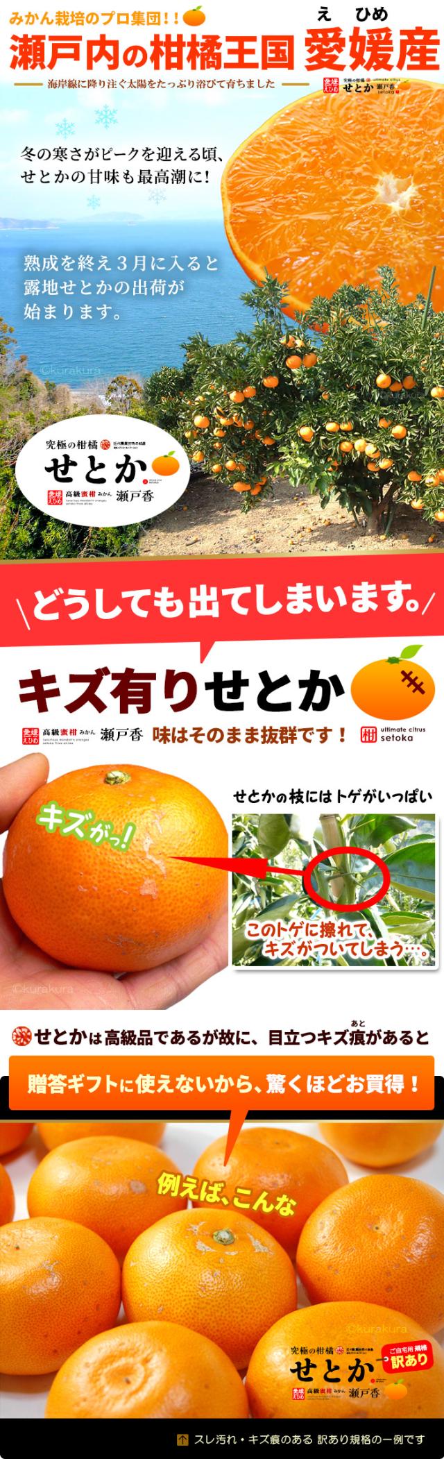 愛媛せとか訳あり玉について