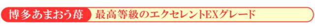 最高等級のエクセレントEXグレード