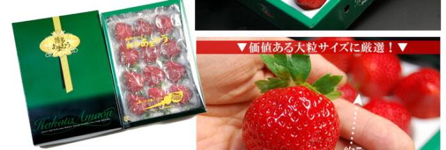 お届けパッケージと粒のサイズ目安