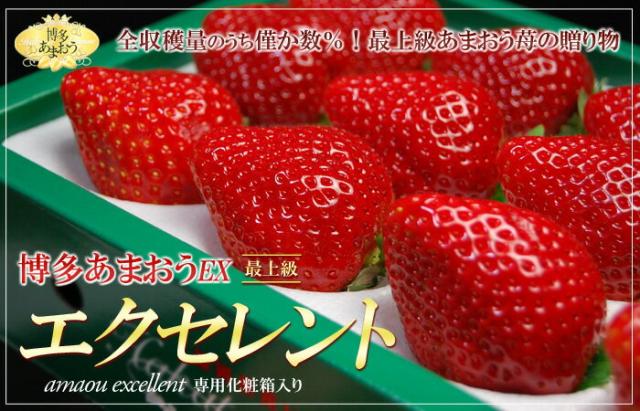 「博多あまおう」エクセレント１P　販売/通販/お取り寄せ