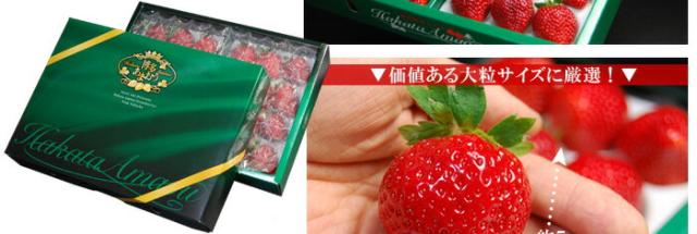 博多あまおうエクセレント２Pのお届けイメージと粒サイズの目安