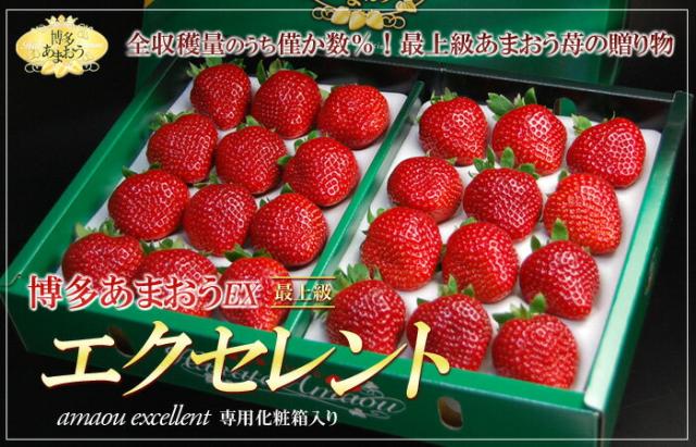 「博多あまおう」イチゴ　エクセレント　販売/通販/お取り寄せ