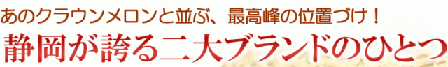 最高峰の静岡ブランドメロン