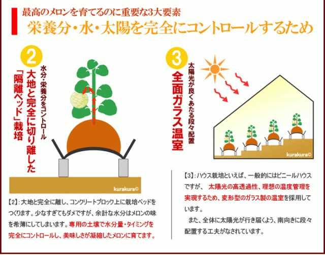 アローマメロン美味しさ【その2-3】