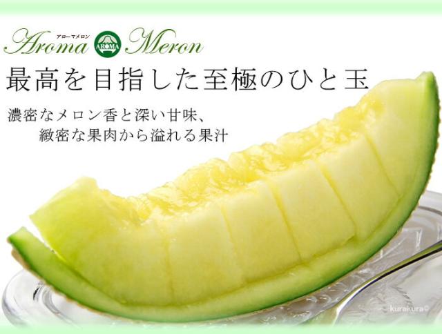 最高を目指したマスクメロン