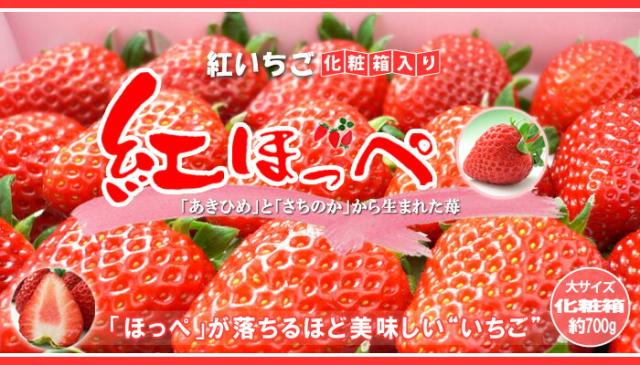 紅ほっぺ/いちご