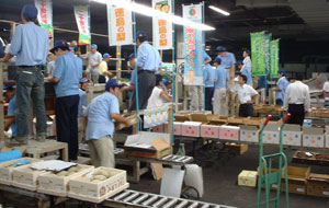 果物朝競り風景