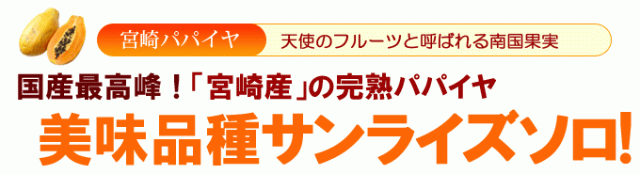 宮崎パパイヤ「サンライズソロ種」