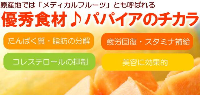 優秀食材パパイヤのチカラ