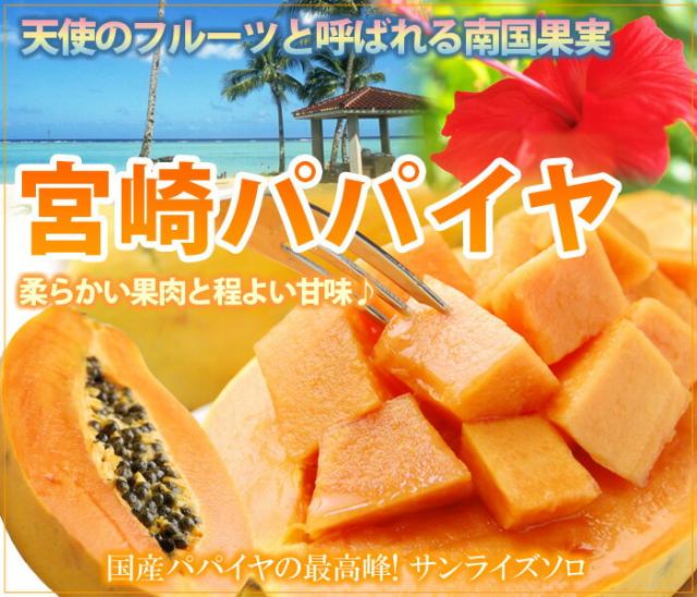 宮崎完熟パパイア販売/通販/お取り寄せ