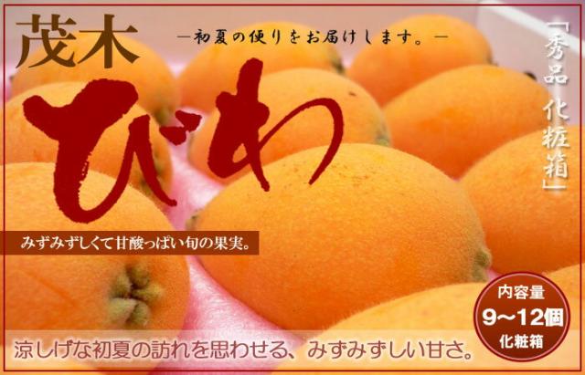 「茂木びわ」長崎産・香川産