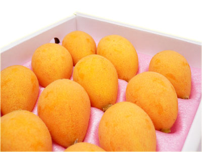 初夏の訪れ「茂木びわ」