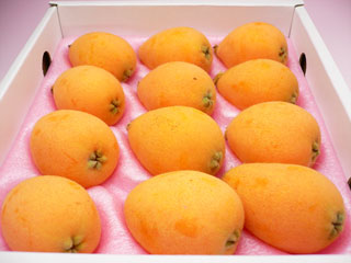 初夏の時期、贈り物に喜ばれますよ