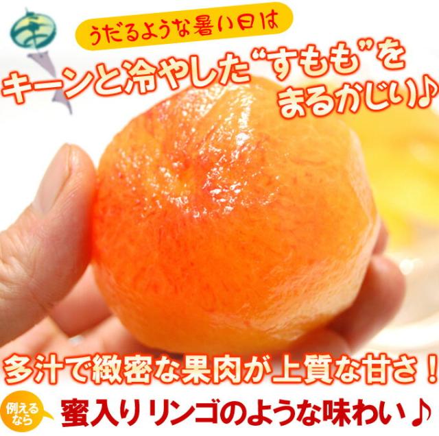うだるような暑い日は“すもも”をまるかじり♪