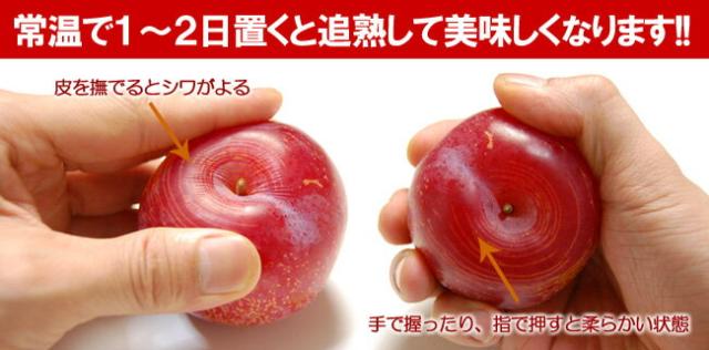 常温で数日置くと追熟して美味しくなります。