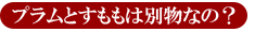 プラムとすももは呼び方が違うだけ