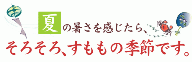 そろそろ、すももの季節です。