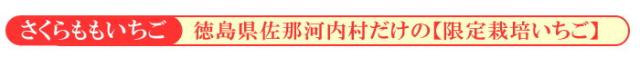 徳島県佐郡河内村だけの限定生産
