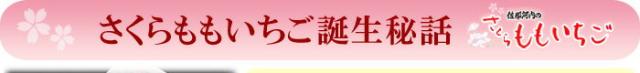 さくらももいちご誕生秘話