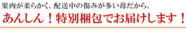 特別梱包であんしん♪お取り寄せ