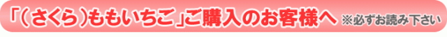 さくらももいちご通販/お取り寄せのお客様へ