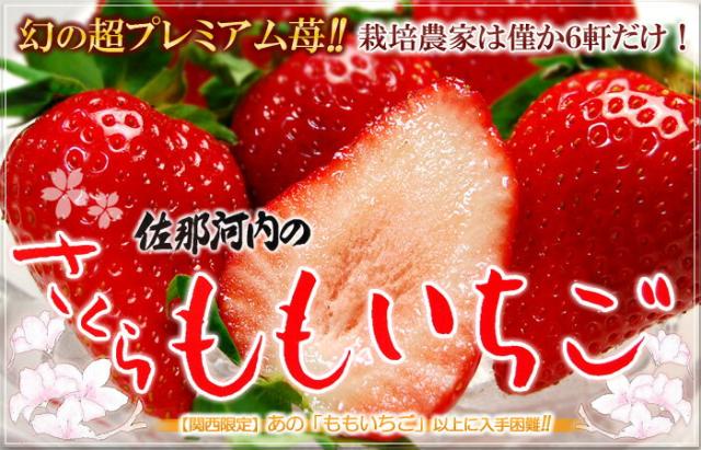 さくらももいちご販売/通販/お取り寄せ