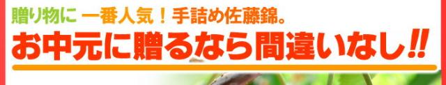 贈答ギフトなら「手詰め佐藤錦」で決まり！