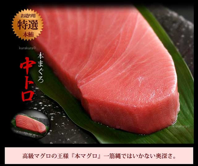 本マグロ 中トロ (約200g×2柵) 地中海産 蓄養鮪 贈答用 本マグロ 中トロ 中とろ トロ 本まぐろ 本鮪 まぐろ 鮪 クロマグロ 黒まぐろ 黒鮪 食品 魚介類 水産加工品 マグロ 中トロ ギフト 贈答 冷凍 送料無料