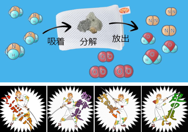 希少 大人気 Niodioウォッシングポーチ ニオディオ 洗濯グッズ 洗濯 洗濯物 洗濯用品 防臭 衣類 悪臭 臭い 消臭 汚れ 洗浄 国産 日本製 洗剤 節約 正規取扱店 Www Iacymperu Org