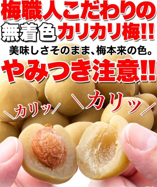 再値下げ 直送品 リニューアル 無着色 お徳用国産カリカリ梅 500g 5個セット 熱中症対策の塩分補給にも是非 安心の国産梅100 欠品カラー再入荷 Www Iacymperu Org