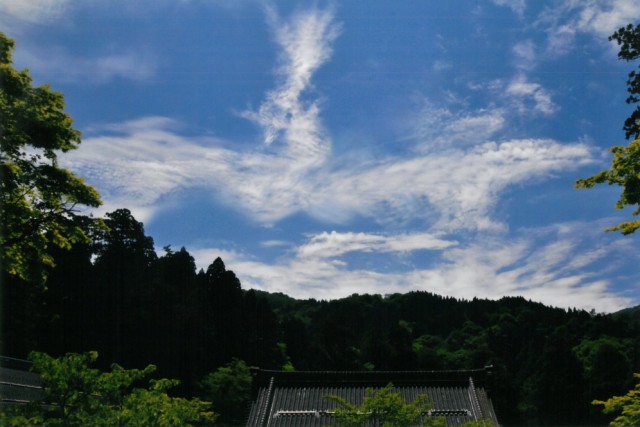 Amazon.co.jp: 秋元 隆良『奇跡の写真 ～鳳凰（発光