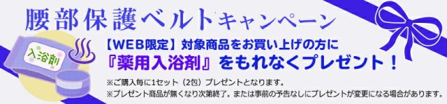 ミドリ安全 健康管理用品 腰部保護ベルト DR-1G (男性用) らくようたい ブラック S〜3Lの通販はau PAY マーケット  au PAY マーケット－通販サイト