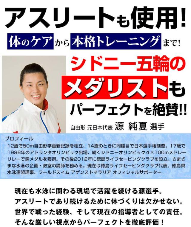 Ems パーフェクト4000 干渉波 Emsマシン 送料無料 腹筋 トレーニング 方法 芯まで鍛える 運動 定価 コア