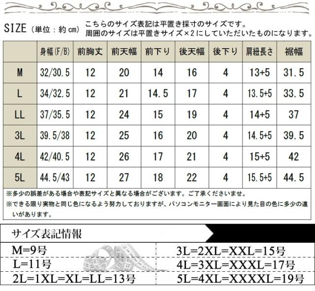 【特許申請中】改良版!胸汗・わき汗Wキャッチ機能汗取リッチ